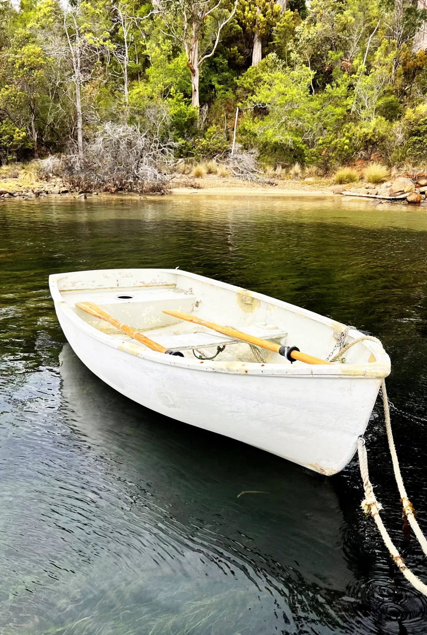 barquinho