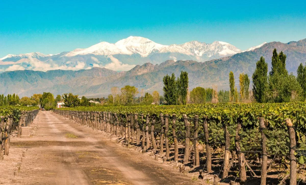 mendoza argentina