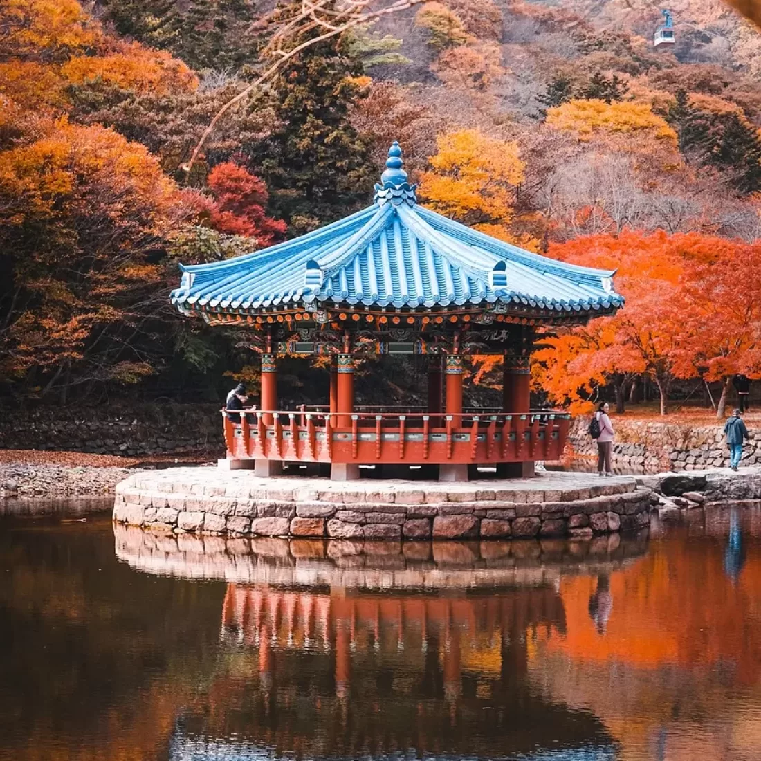 pagoda, temple, autumn, park, pond, south korea, landscape, pagoda, south korea, south korea, south korea, south korea, south korea