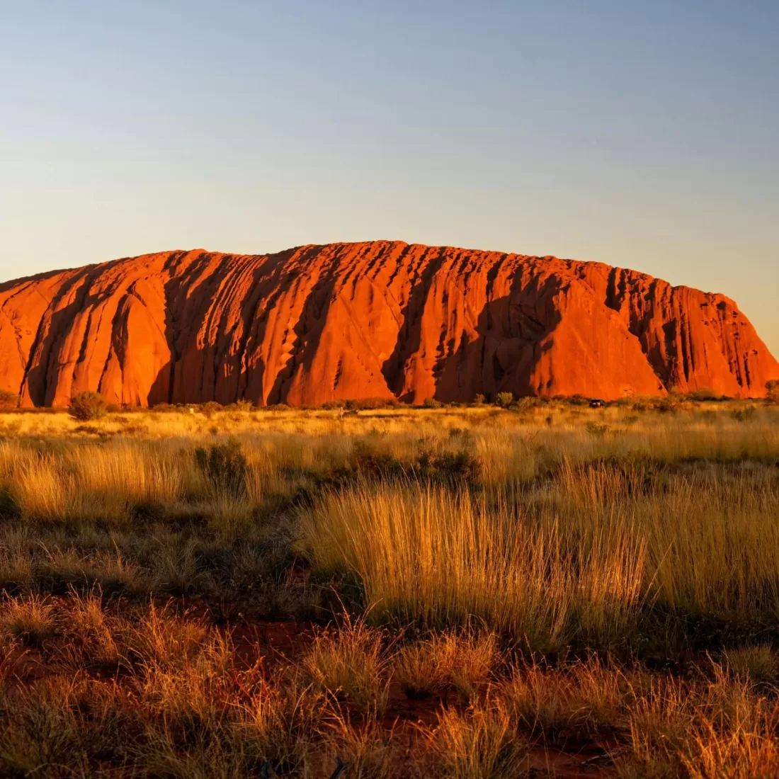 Stunning view of Uluru, Australia's iconic rock formation, at sunrise in the Outback.